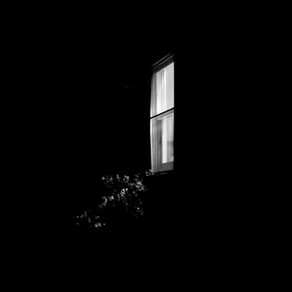 Black and white photo 901